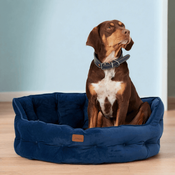 Joules dog mattress hotsell