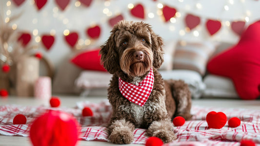 dog laying on bed 