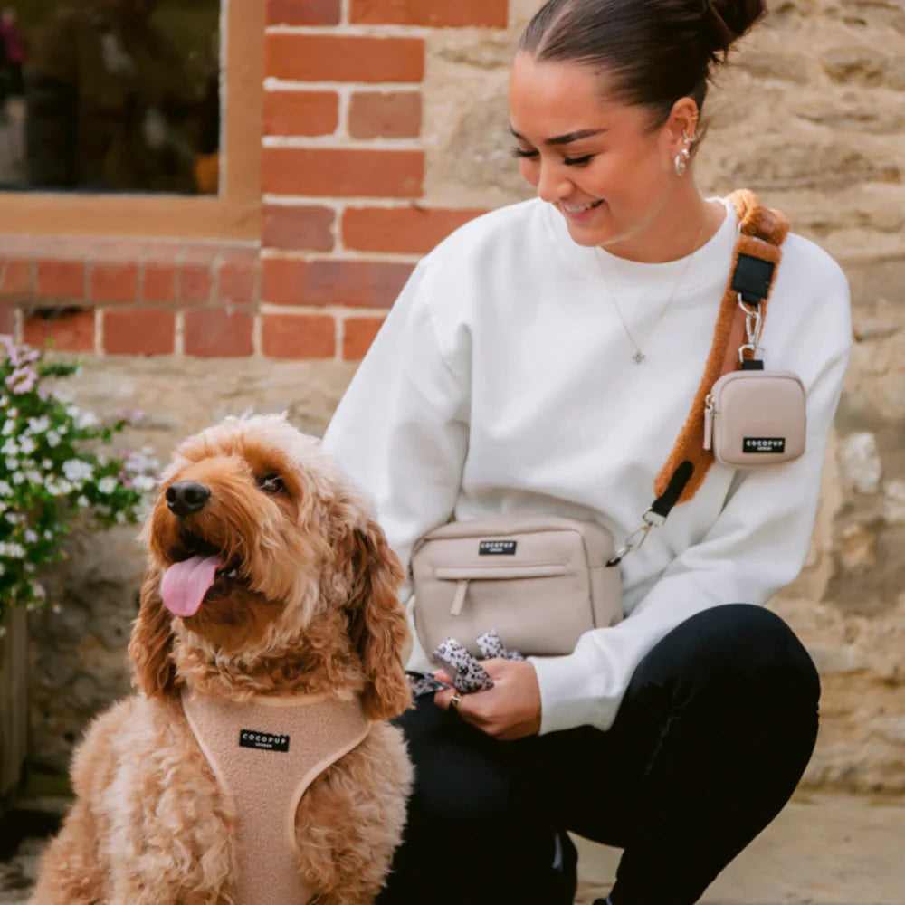 Dog Walking Bags