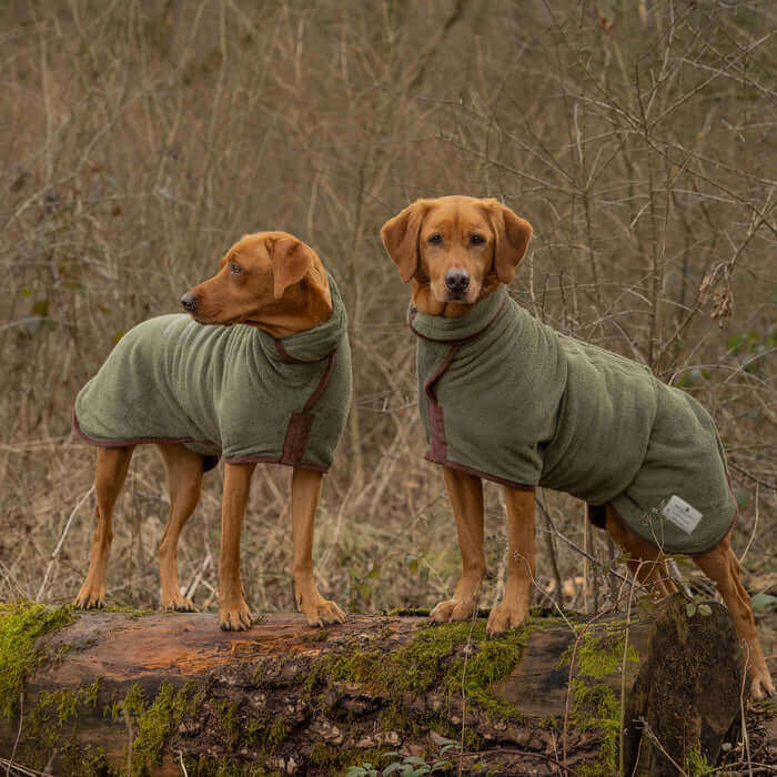 Dog Drying Coats & Mitts