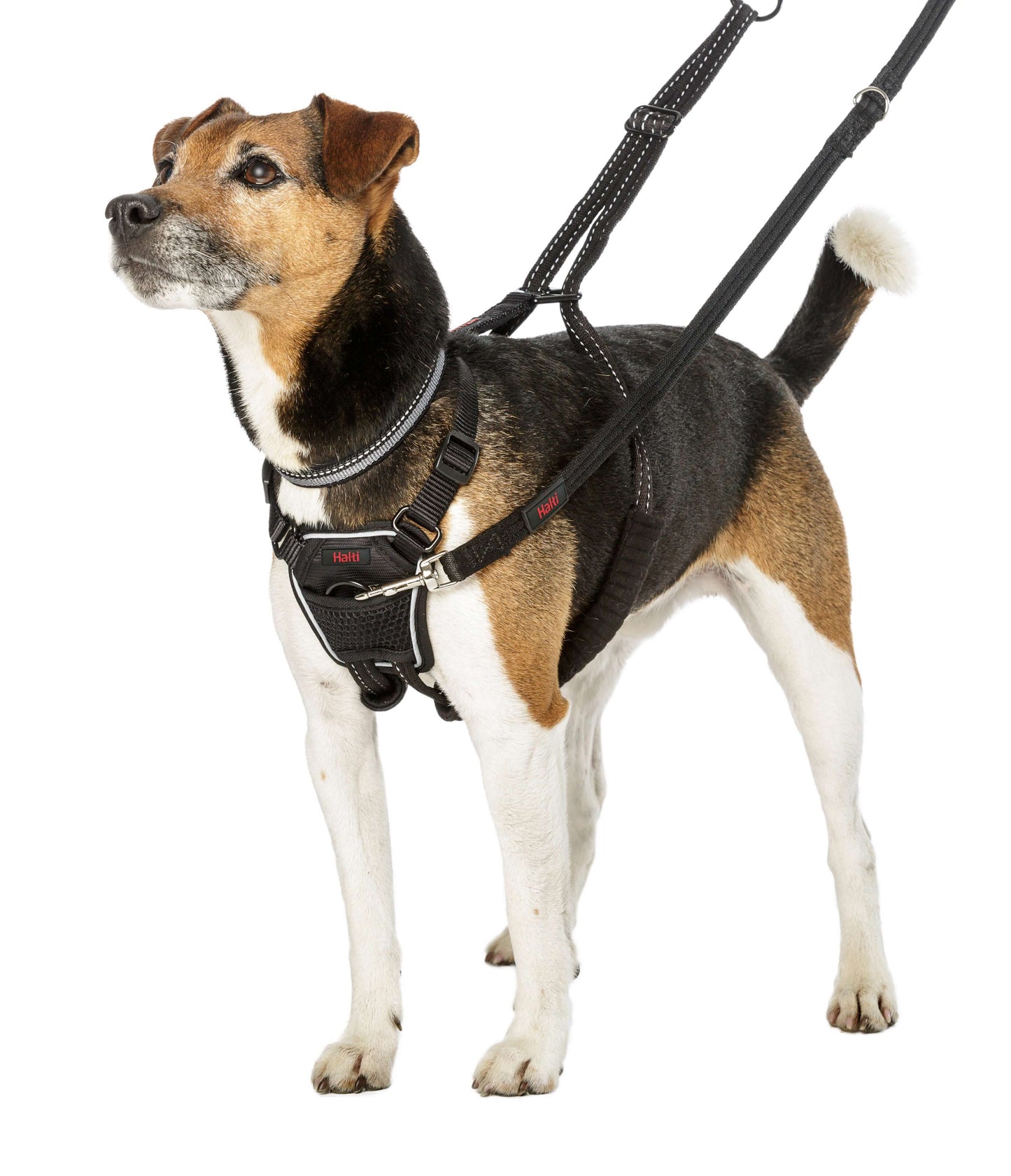 Halti - No Pull Harness