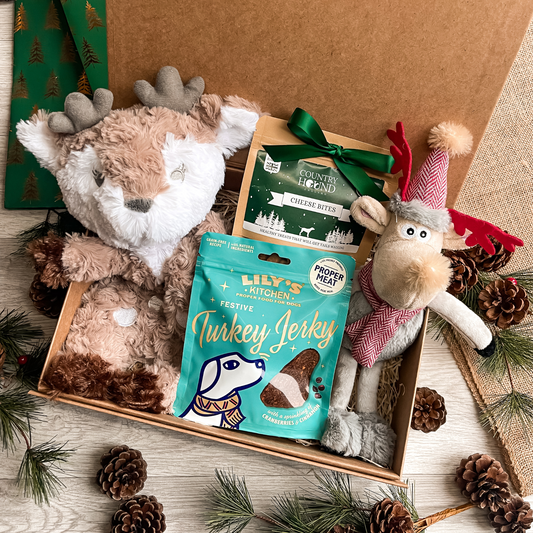 The Puppy Christmas Gift Box