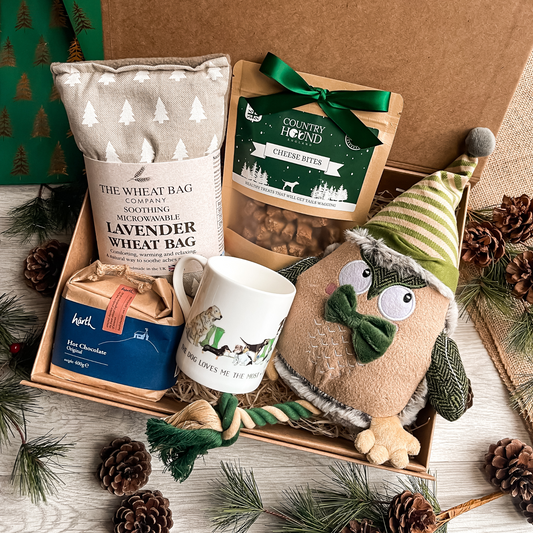 The Dog & Owners Christmas Gift Box