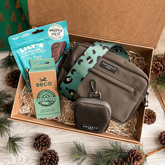 The Mocha Dog Walking Gift Set