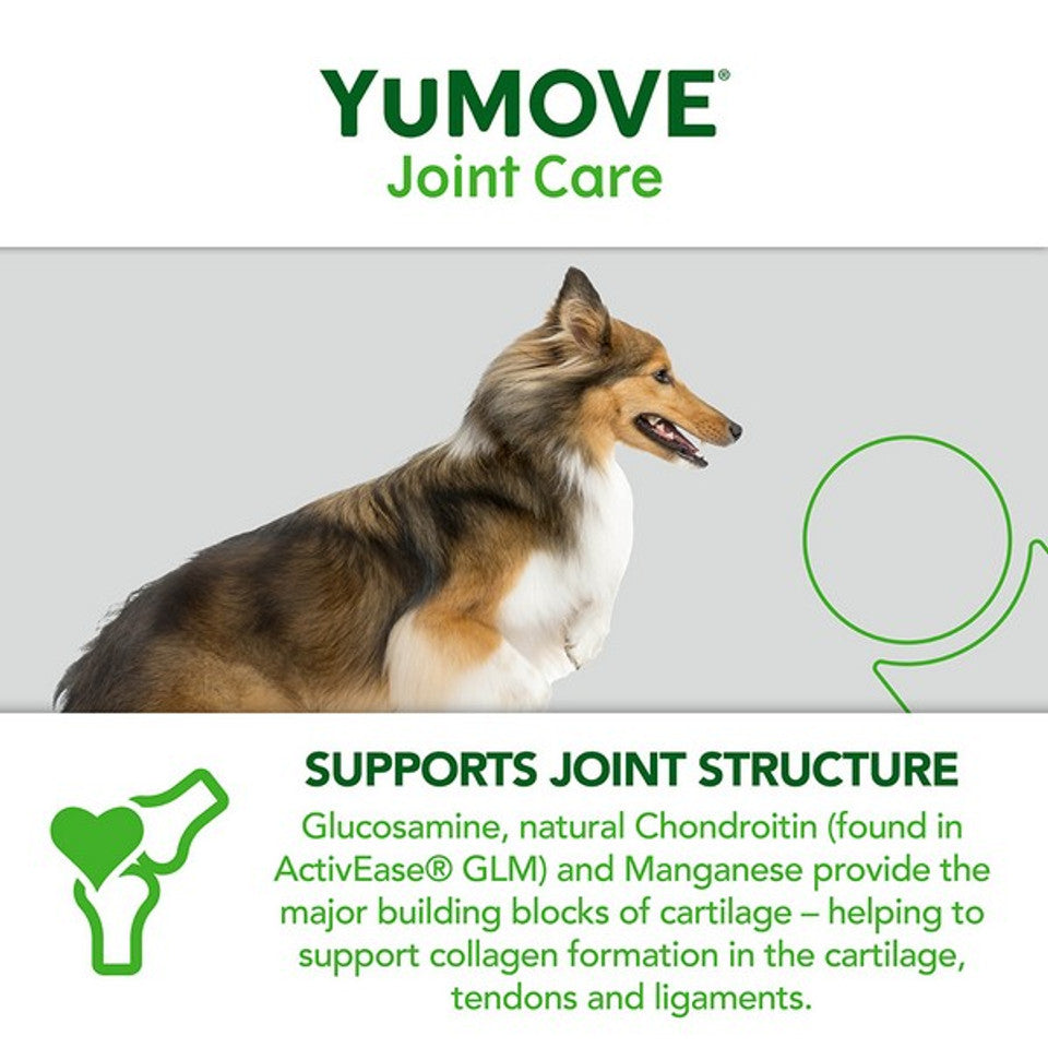 YuMove Joint Care for Adult Dogs | 60 Tablets