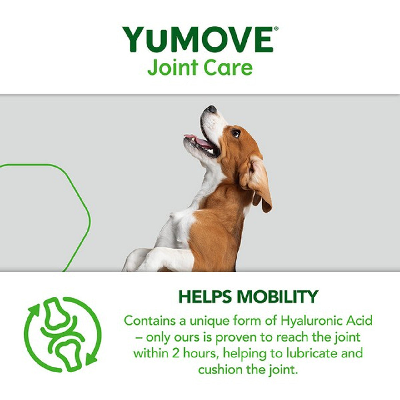 YuMove Joint Care for Adult Dogs | 60 Tablets