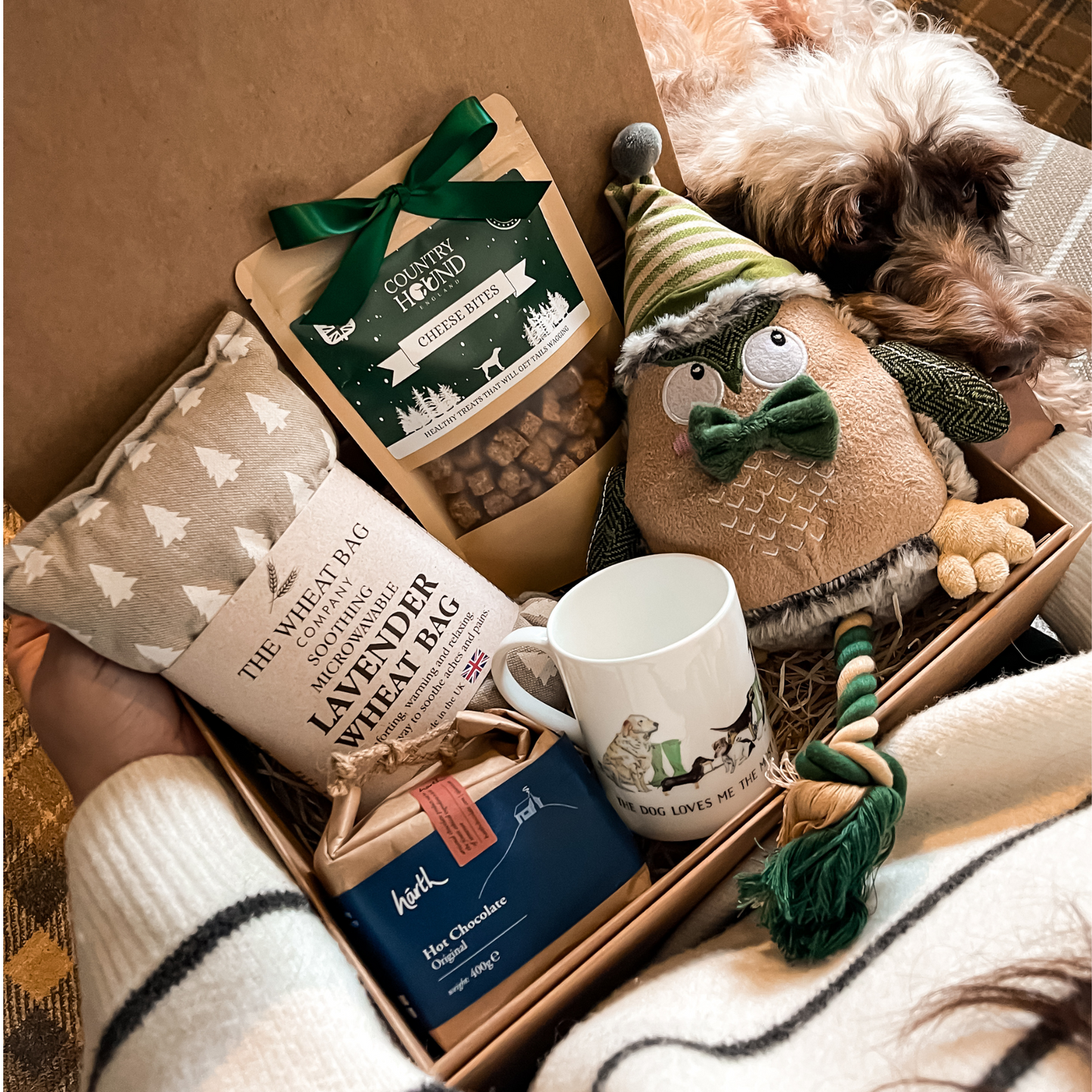 The Dog & Owners Christmas Gift Box