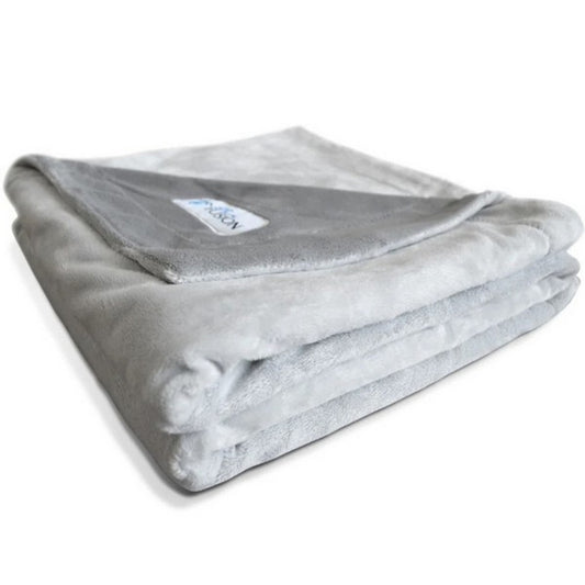 Large Grey PetFusion Blanket for Dogs