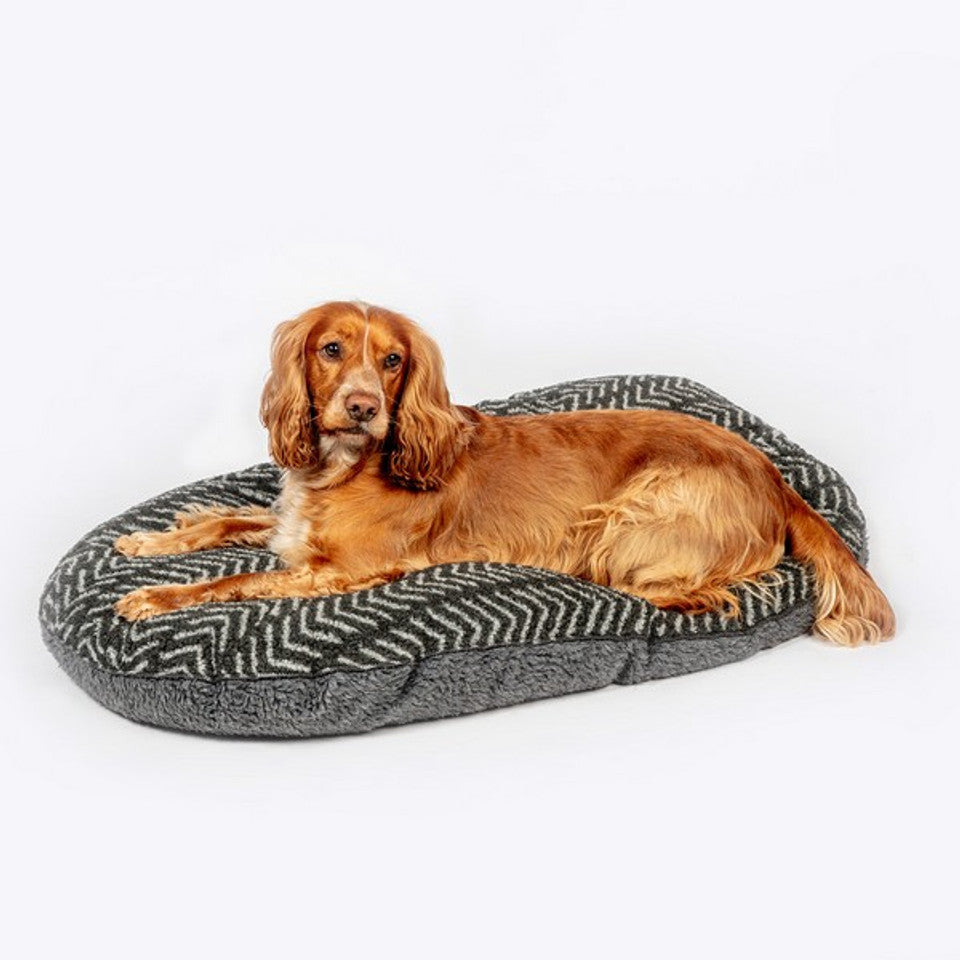 The Danish Design Quilted Mattress with dog.