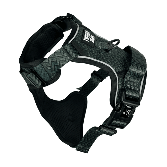 Twiggy Tags black and grey dog harness