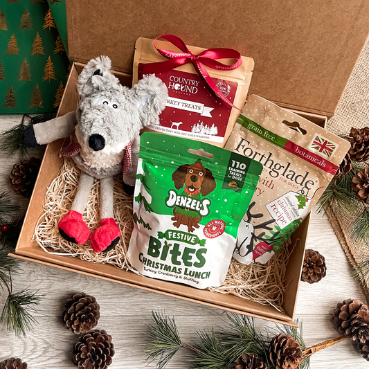 The Dog's Winter Fox Treat Box