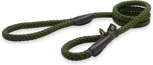 A green rope slip lead for dogs 