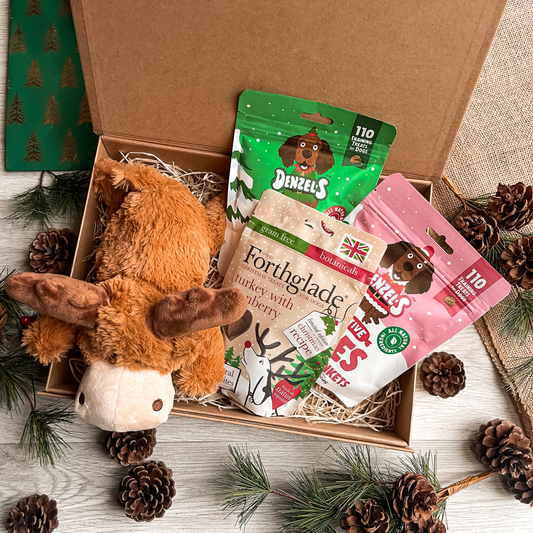 The Dog's Christmas Treat Box