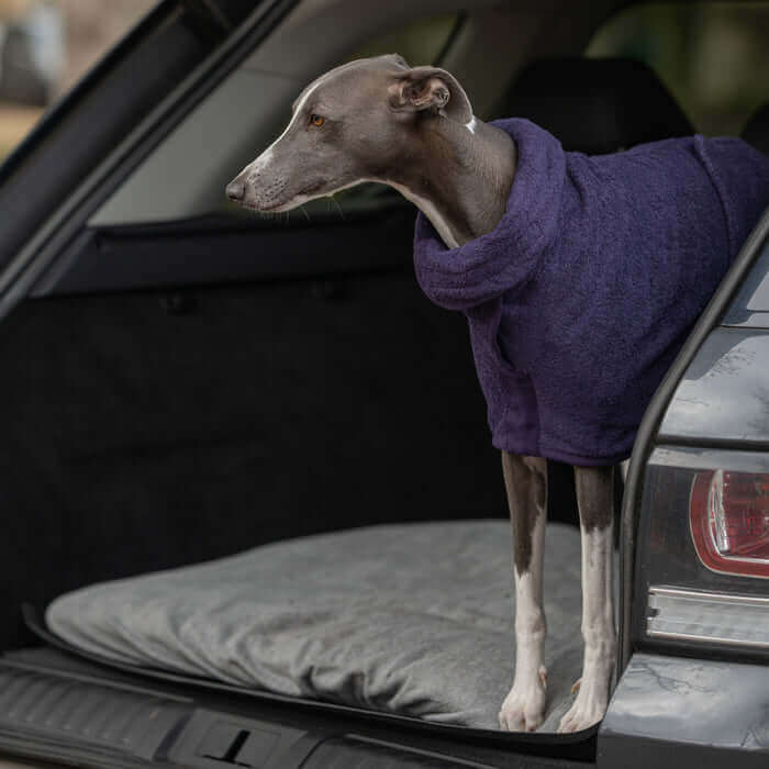 Classic Dog Drying Coat