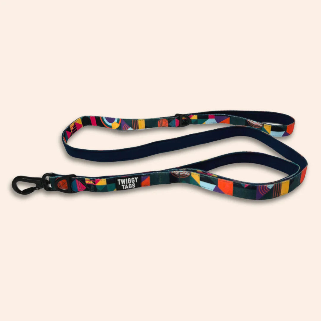 A large close control lead for dogs