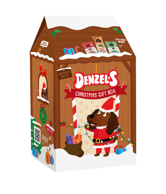 Christmas Grotto Gift Box for Dogs 175g