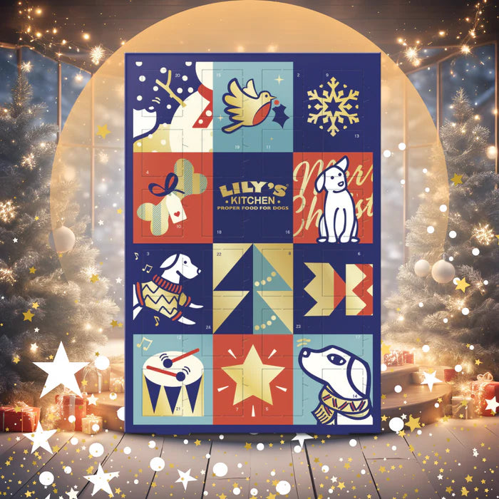 Lily's Kitchen Advent Calendar For Dogs 100g