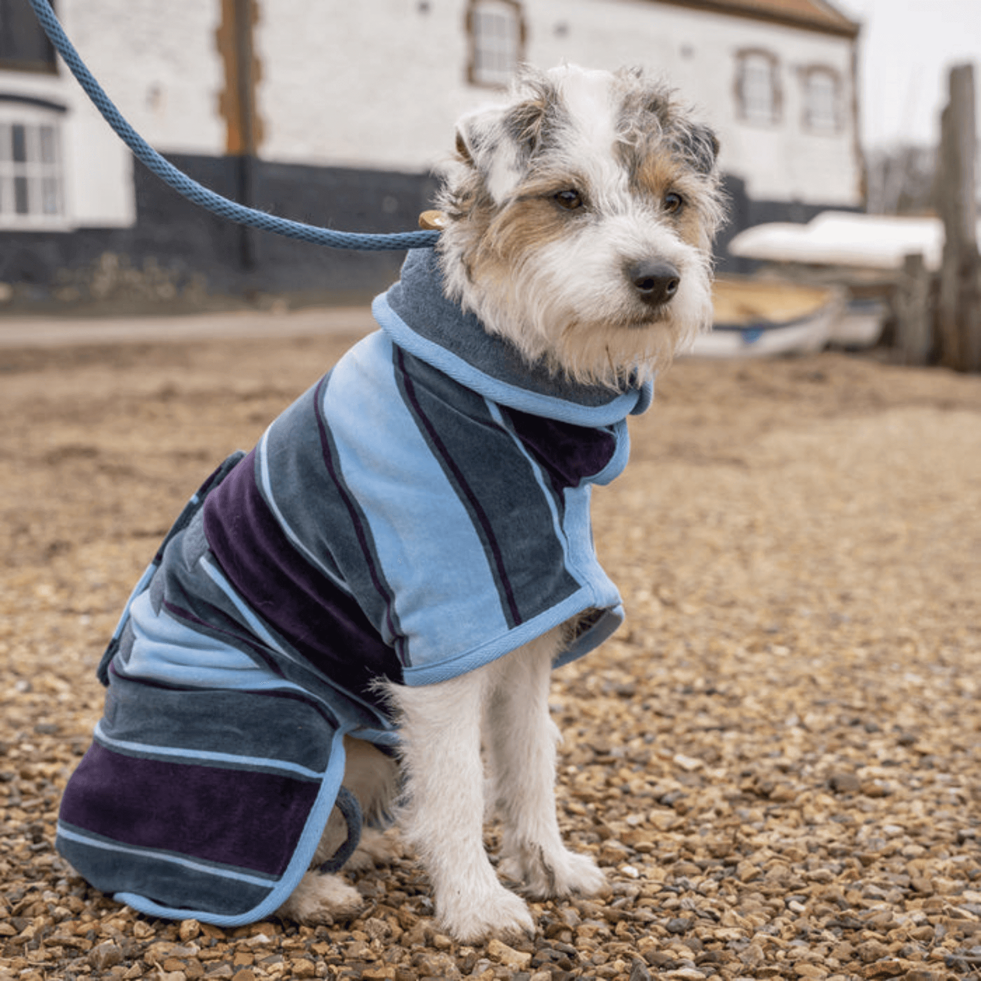 Dog Drying Coat | Designer Drying Coat | Bella's Box