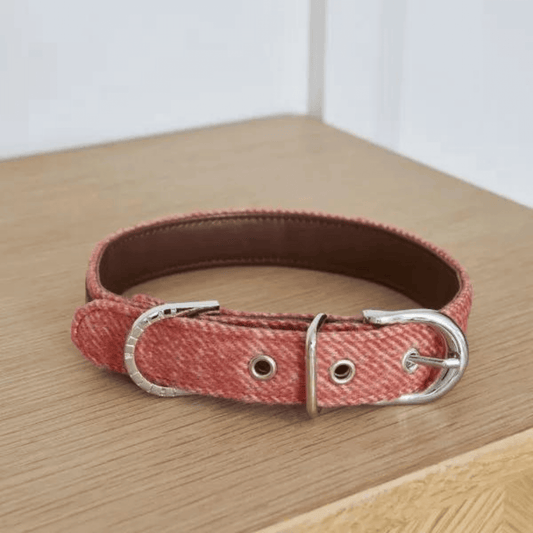 Orange Tweed Dog Collar