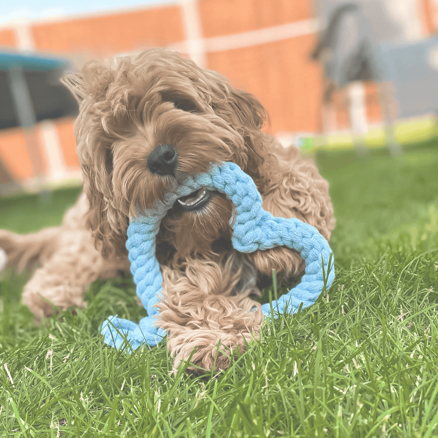 Heart Rope Toy - Mint Green